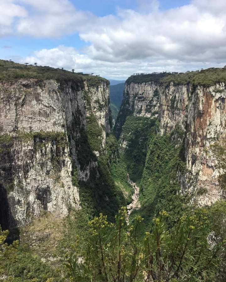 Chales Campo Bom Cambará Exteriér fotografie